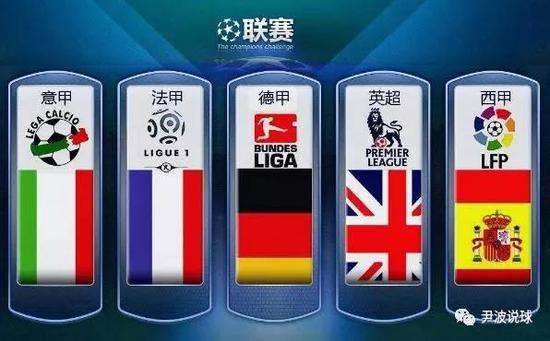 胆的观点