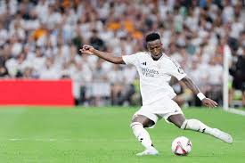 柏迪的魅力 柏迪的魅力